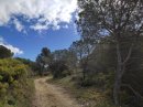 Garrigue de la Clape